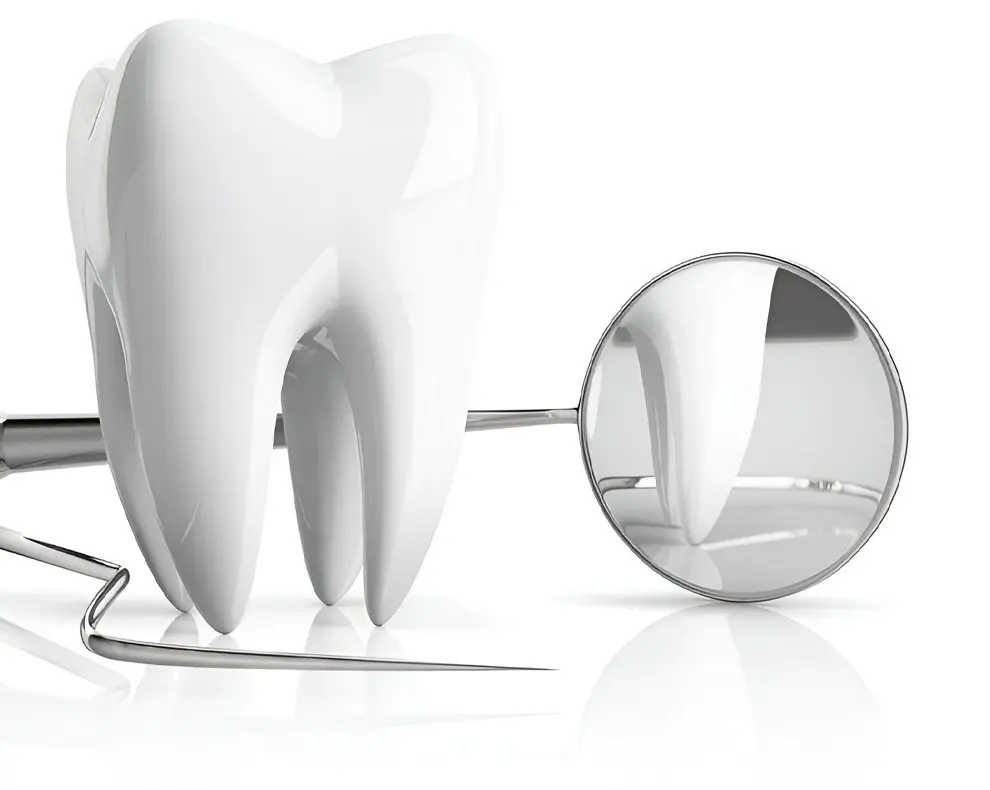 A tooth with a mirror and toothbrush in it